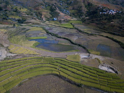 Mada 10 Rice Patties-1